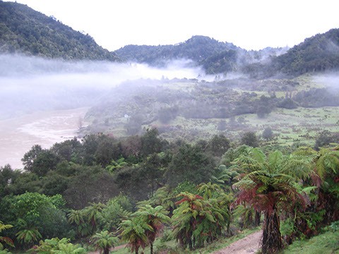 Whanganui River Views